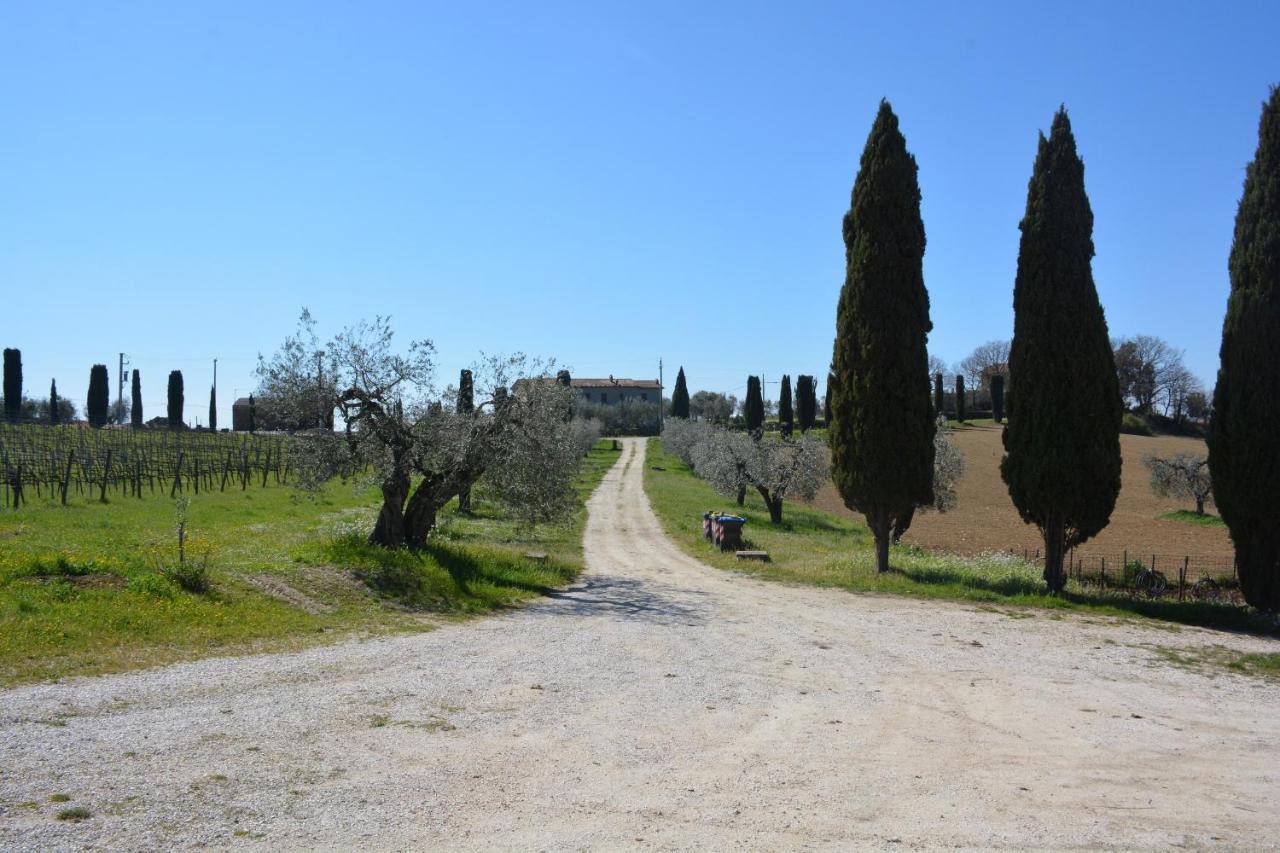 Scappo In Umbria, Casale Monti Villa Montoro  Bagian luar foto
